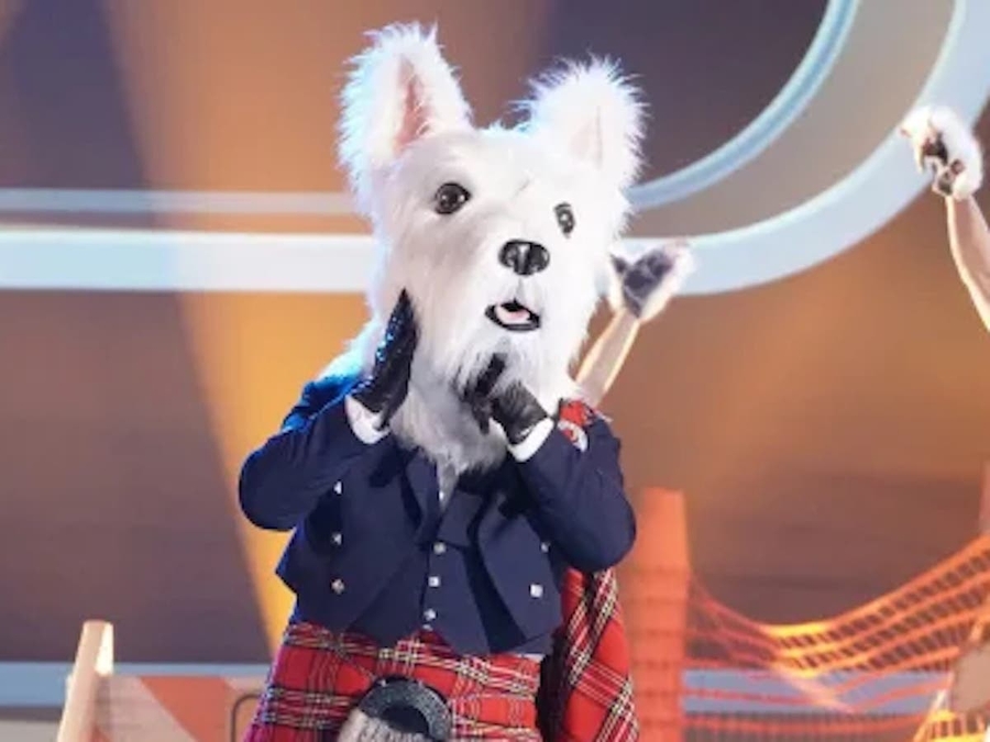 A contestant accidentally unmasked on 'The Masked Singer' US