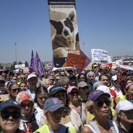 ../images/cmsimages/listing/afp__20240602__34up2lu__v1__highres__turkeylawanimal-news-1717403755118573.jpg