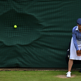 ../images/cmsimages/listing/afp__20241009__36jg28j__v1__highres__filestennisgbrwimbledon-news-1728532013119900.jpg