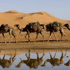 ../images/cmsimages/listing/afp__20241021__36kj47a__v5__highres__topshotmoroccoweatherclimatefloodingsahara-news-1730011032120072.jpg