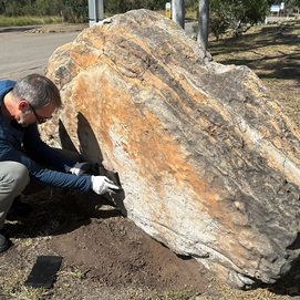 ../images/cmsimages/listing/afp__20250312__36zt7r2__v1__highres__australiasciencedinosaur-news-1741754545121426.jpg