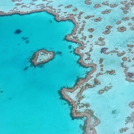 ../images/cmsimages/listing/barrierreef-news-1709873115117705.jpg