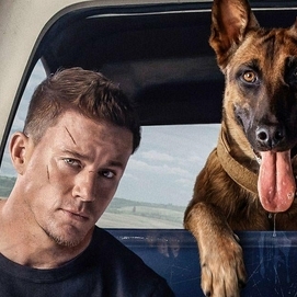 ../images/cmsimages/listing/channing-tatums-dog-movie-trailer-news-1637316646110766.jpg