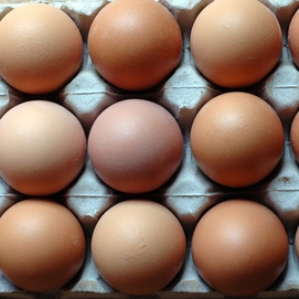 ../images/cmsimages/listing/eggs-news-1627994617109935.jpeg