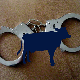 ../images/cmsimages/listing/freestatefarmerarrested-news-1673249021113912.png