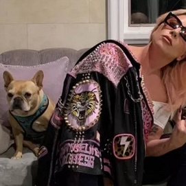 ../images/cmsimages/listing/screenshot_2023-02-27ladygagaoffersr7mrewardforstolenfrenchbulldogs-news-1677482072114320.jpg