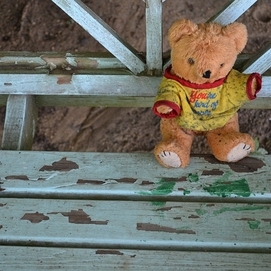 ../images/cmsimages/listing/teddybearondirtybench-news-1644073501111284.jpeg