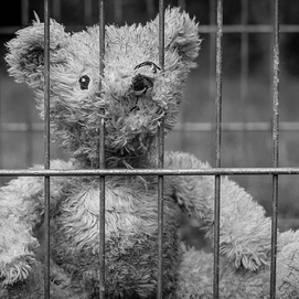 ../images/cmsimages/listing/teddyinprison-news-1709293616117628.jpg