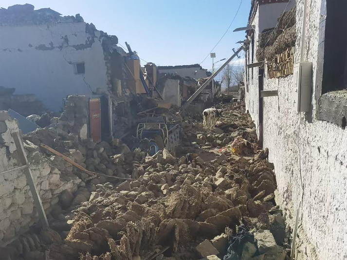 Rescuers search for survivors after quake in China's Tibet kills at least 126