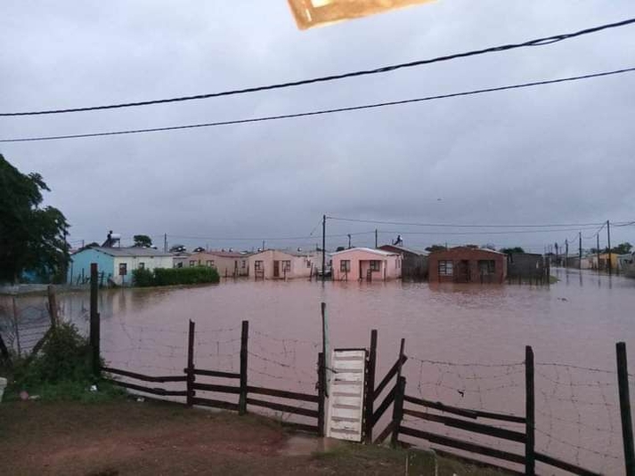 Rain welcome, but hundreds affected by downpour in Gqeberha